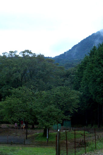 e0015915_9382429.jpg