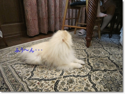 b0167519_1032926.gif