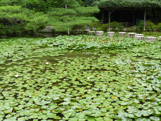 b0209919_19582468.jpg