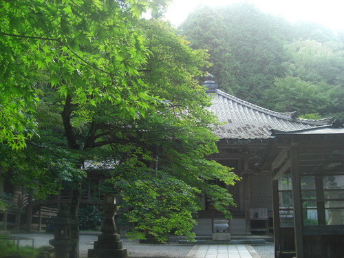 d0140625_21131678.jpg