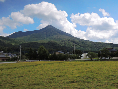 d0211129_21505638.jpg