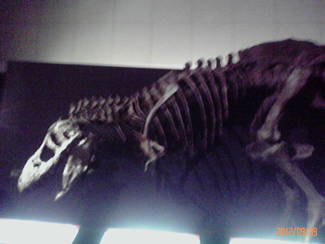 b0222530_9535369.jpg