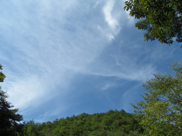 d0140234_2003119.jpg