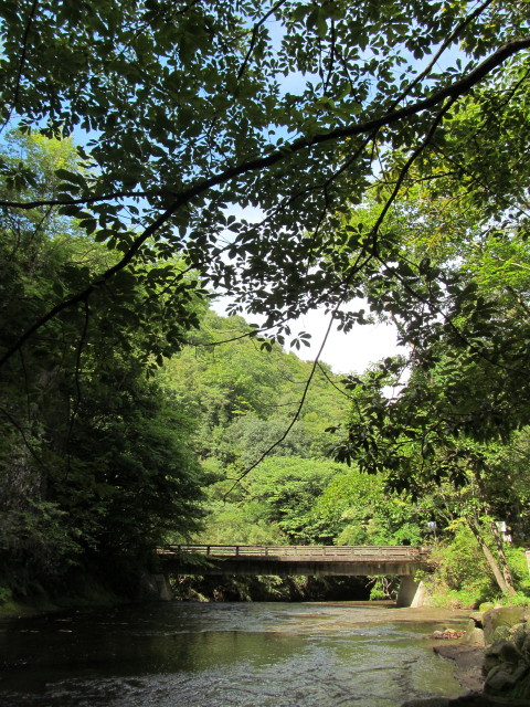 d0140234_2055947.jpg