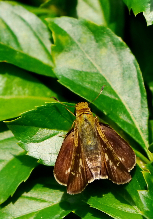 b0242140_15214823.jpg