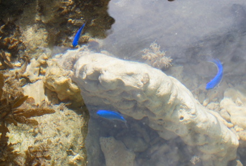 a0167341_14343236.jpg