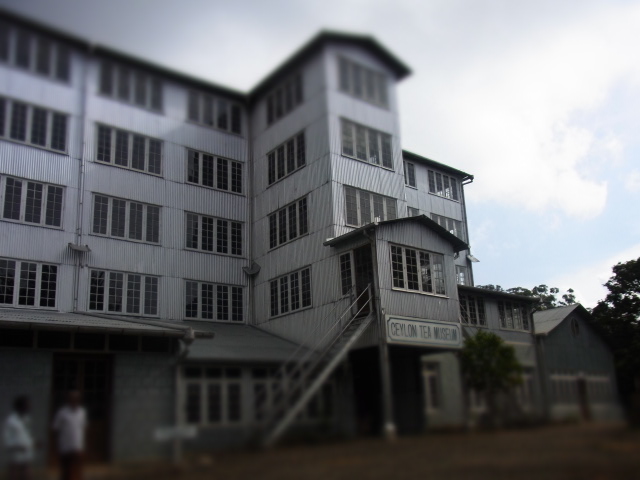 b0263744_20393648.jpg