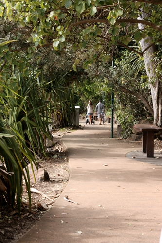 b0148547_21314726.jpg