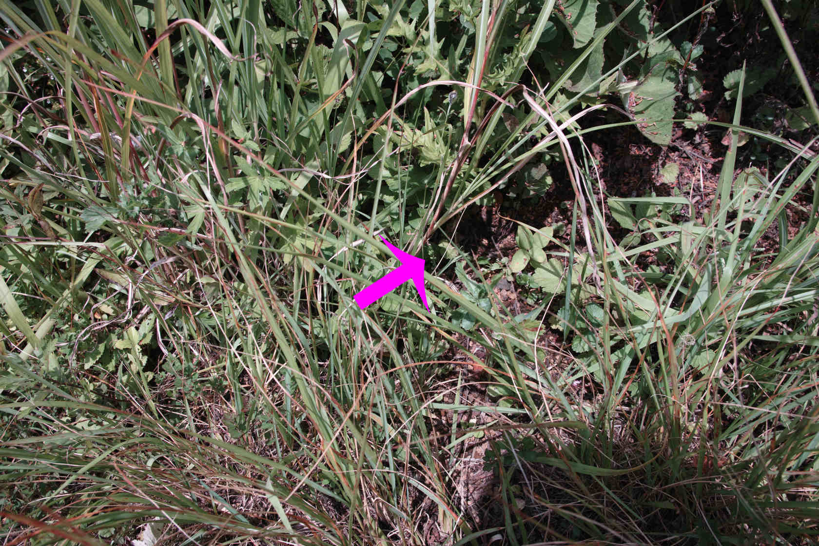 c0008948_209768.jpg