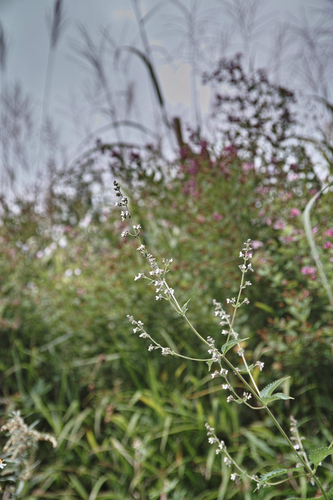 c0008948_22295981.jpg