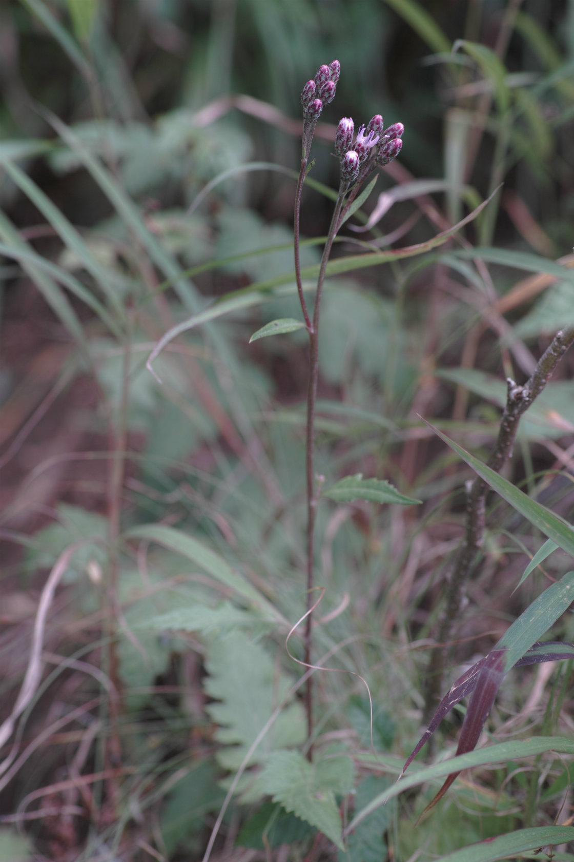 c0008948_22472351.jpg