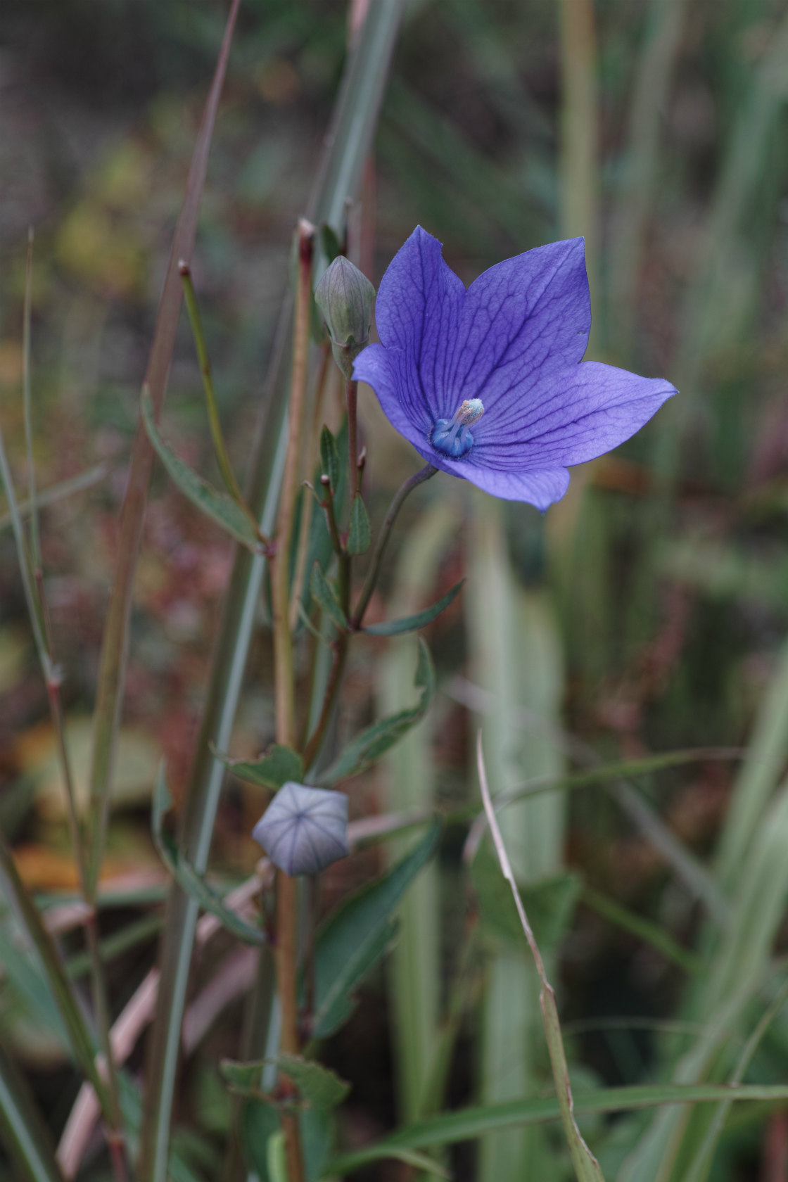 c0008948_22475340.jpg