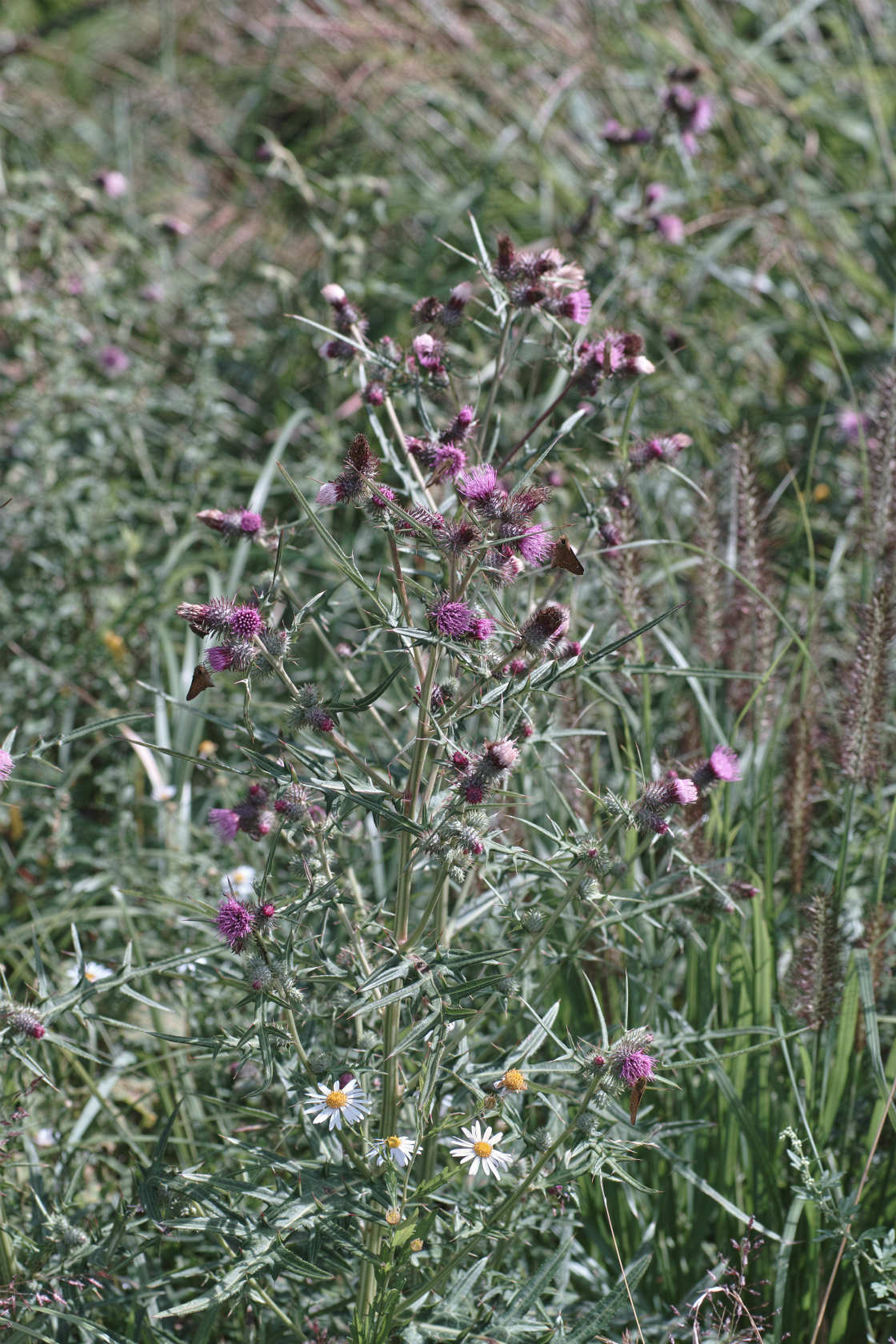 c0008948_22482739.jpg