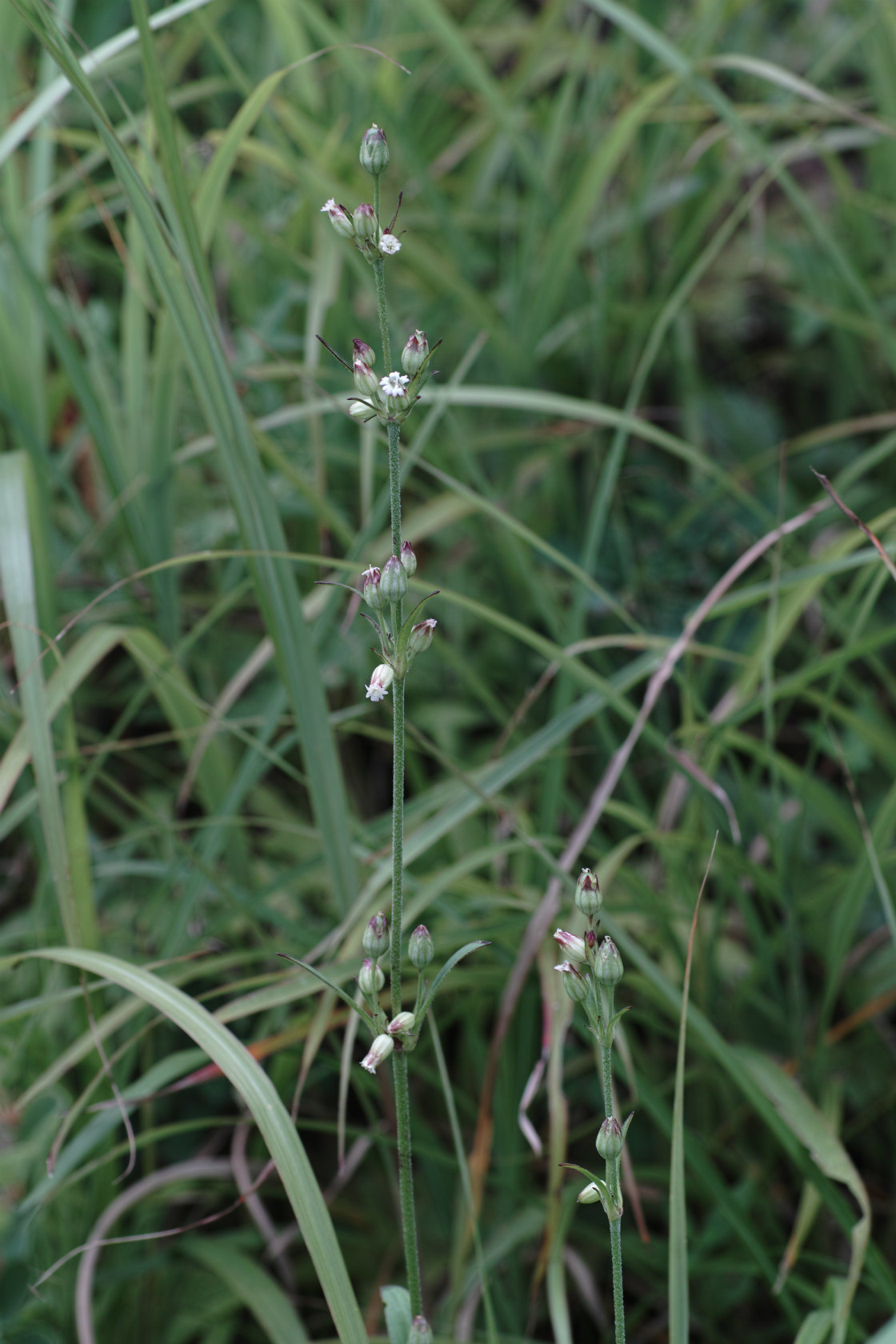 c0008948_2249174.jpg