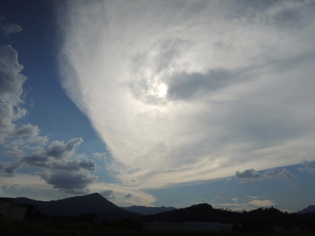 b0173754_13561298.jpg