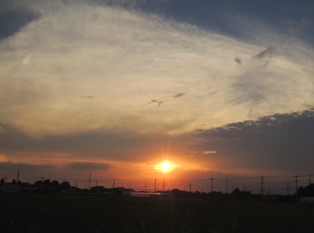 b0173754_13564689.jpg