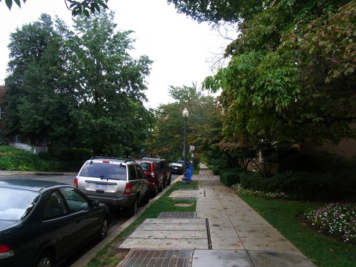a0149356_10434530.jpg