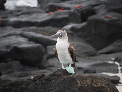 f0043656_12132063.jpg