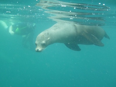 f0043656_1224592.jpg