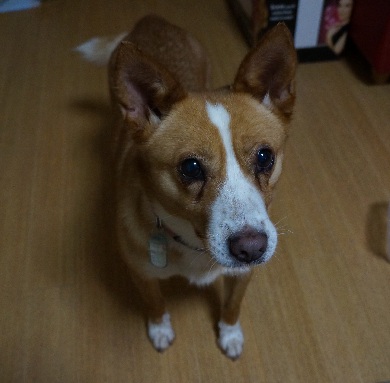 f0087256_21593440.jpg