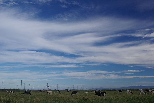 c0080357_10421438.jpg
