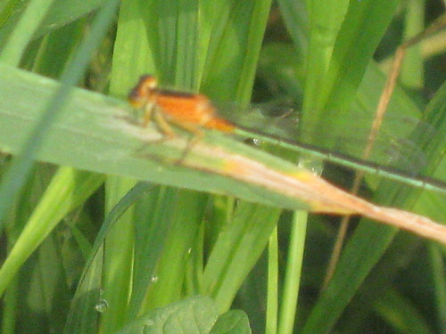 b0267163_22374072.jpg