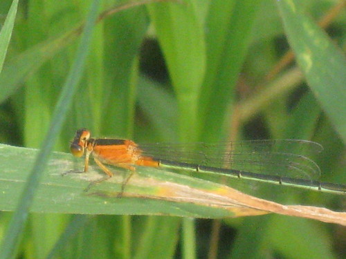 b0267163_22411837.jpg