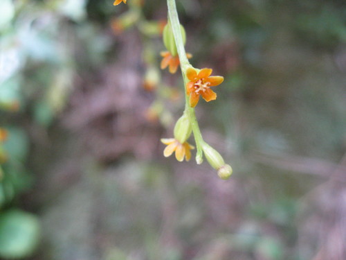 b0267163_22504114.jpg