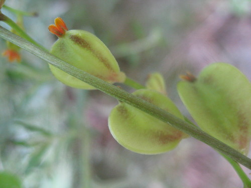 b0267163_23094.jpg
