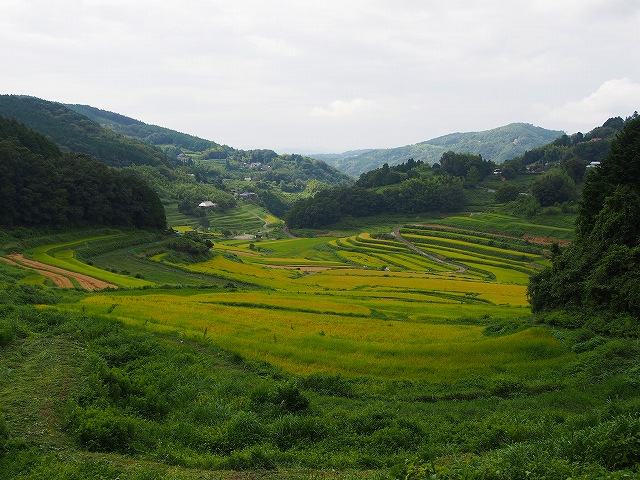 d0128465_974258.jpg