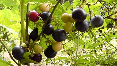 f0207669_11352459.jpg