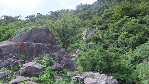 c0022275_9465845.jpg