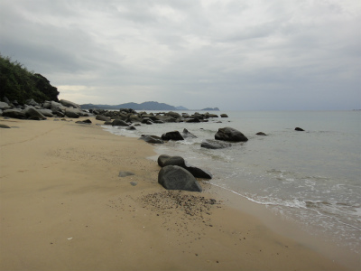 d0182075_511558.jpg