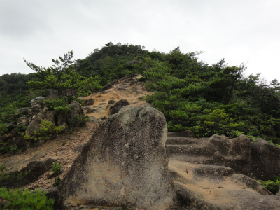 d0182075_5195780.jpg
