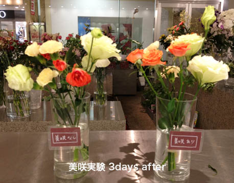 a0287777_041129.jpg