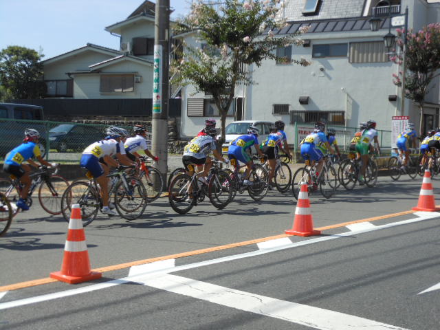 c0206177_83349.jpg