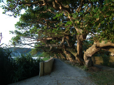 e0028387_834748.jpg