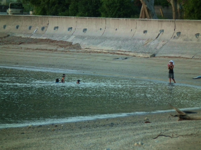 e0028387_84244.jpg