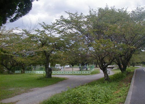 d0053294_194630.jpg