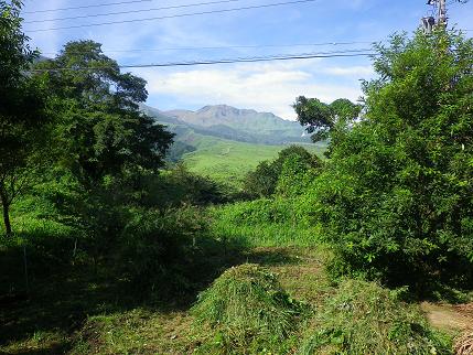 e0048994_4275950.jpg