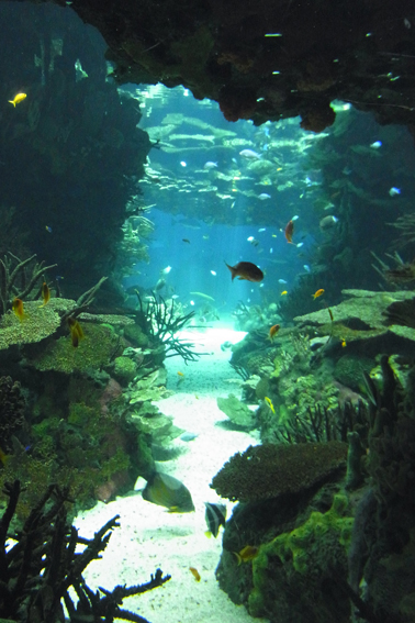 e0266095_20125273.jpg