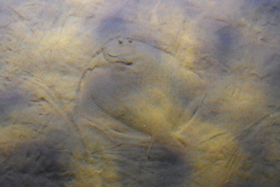 e0266095_20134285.jpg