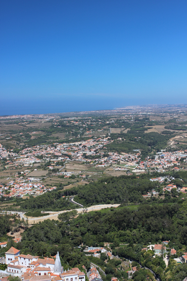 e0266095_2052777.jpg