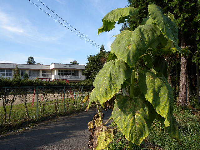 a0199297_19462544.jpg
