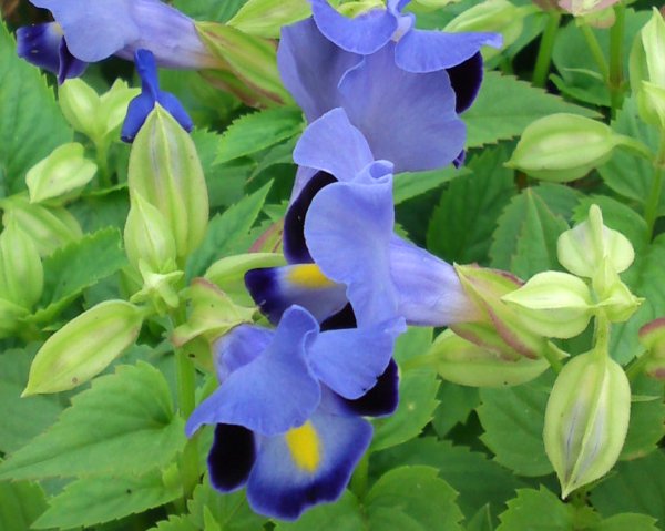 a0031000_9543111.jpg