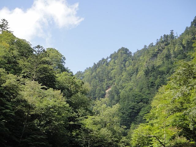 b0172805_10174110.jpg