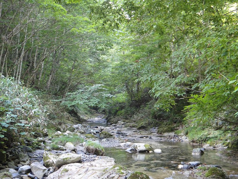 b0172805_13296.jpg