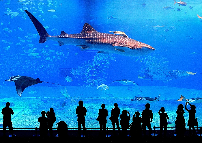 a0140608_17123746.jpg