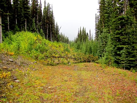 b0051109_10224314.jpg