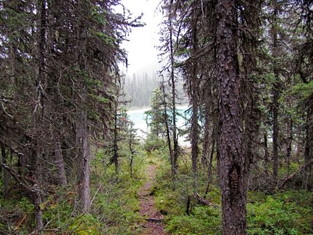 b0051109_1032919.jpg